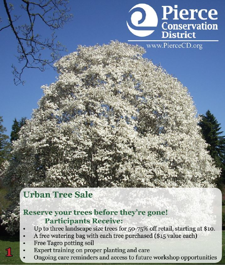 Urban Tree Sale