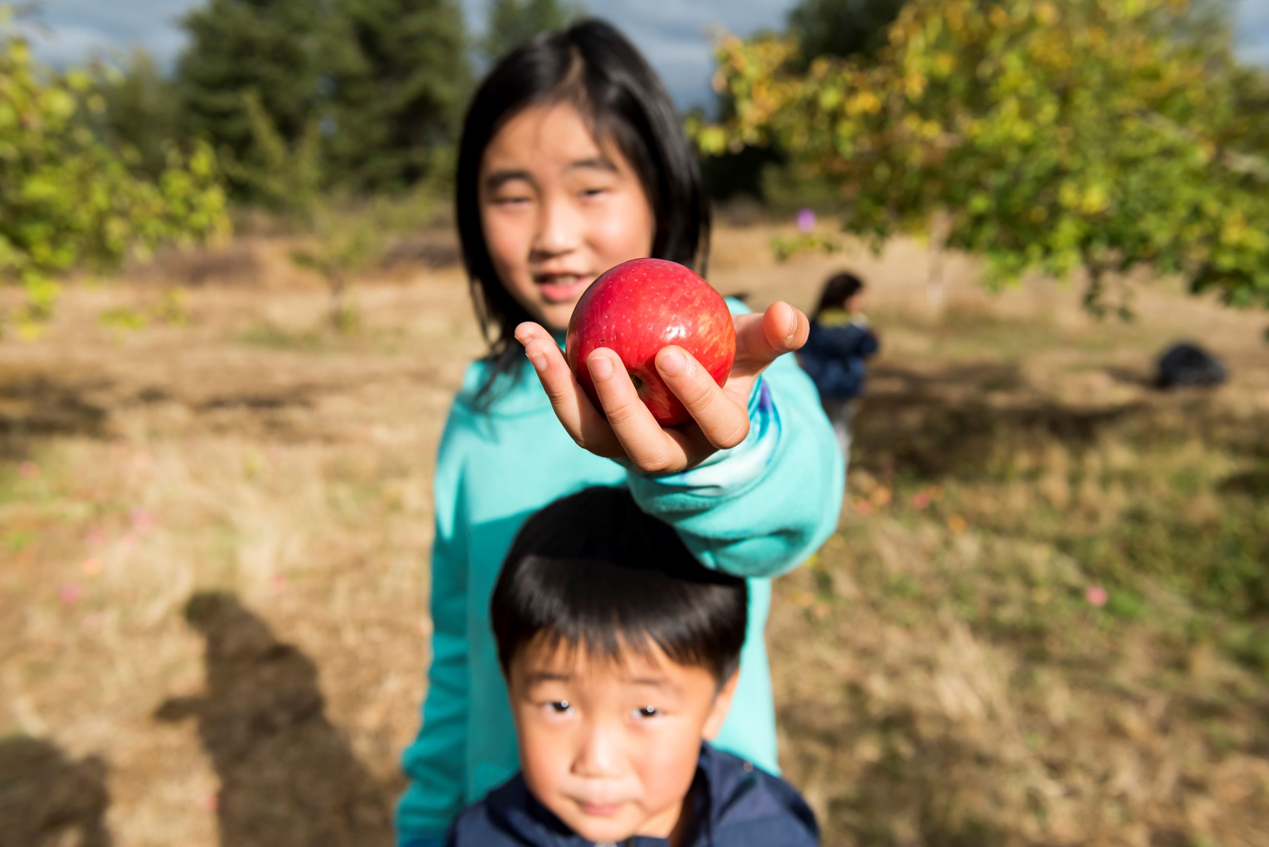 KWAglean_print_photo credit jefferson mok