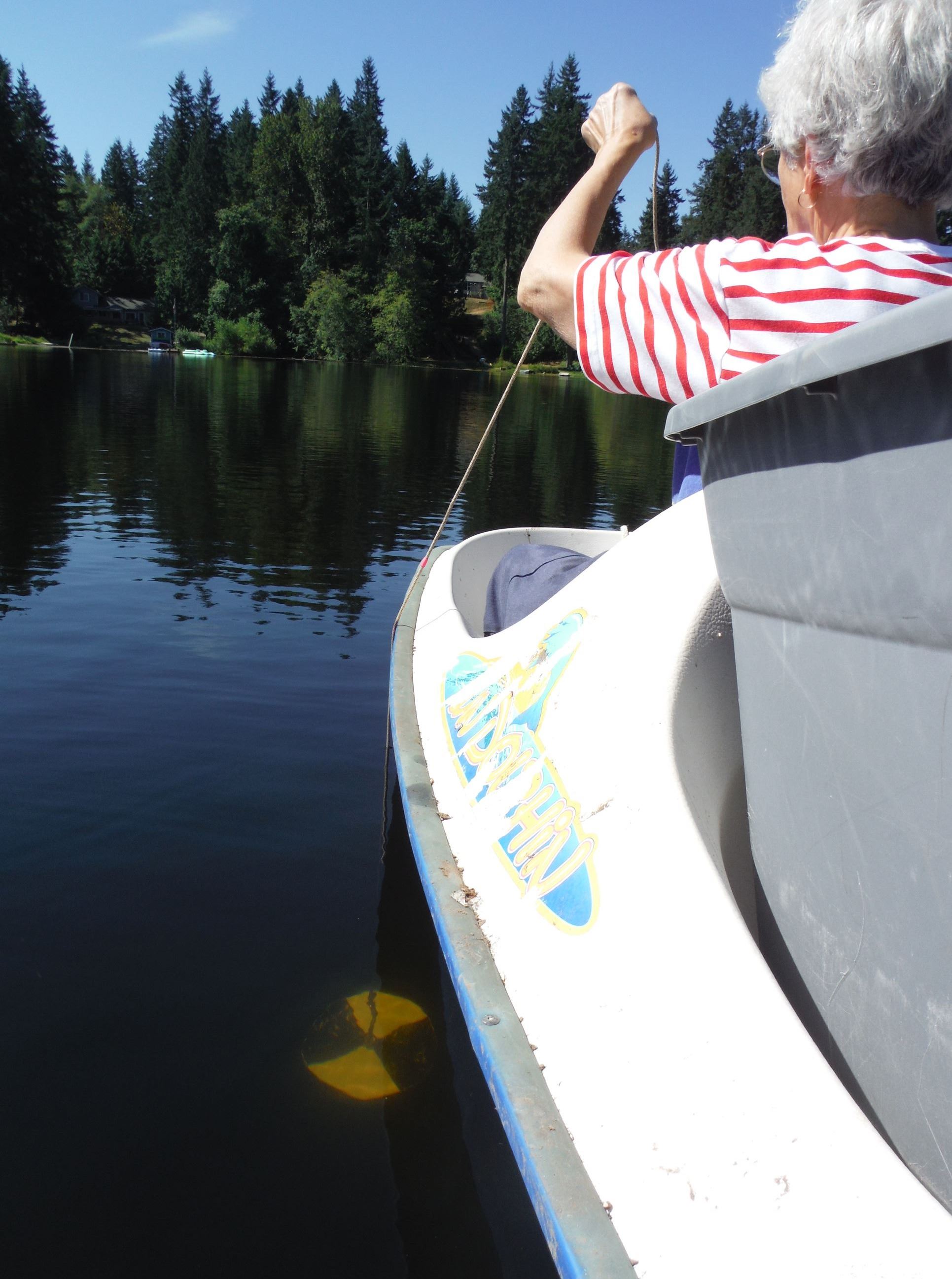 Secchidepth Lake Bonney