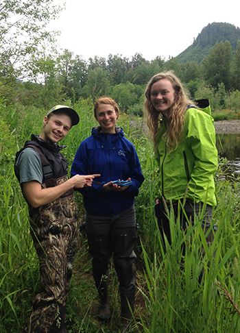 Nick, KW interns web