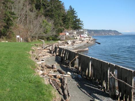 I want to remove my bulkhead