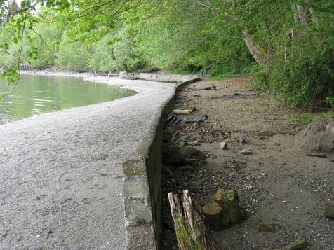 Undeveloped land with bulkhead