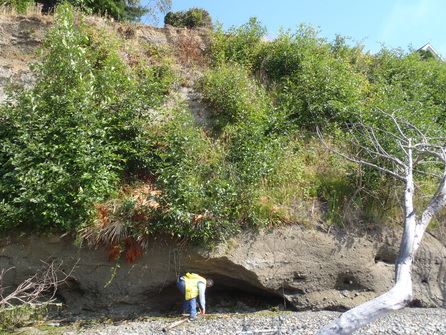 Is a bulkhead my only choice