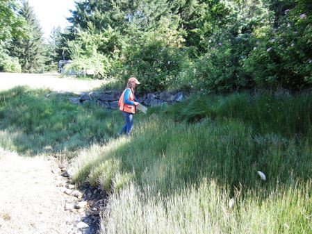 Free waterfront assessments