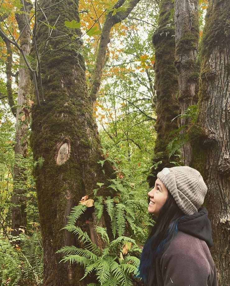 saiyare Large saiyare Large