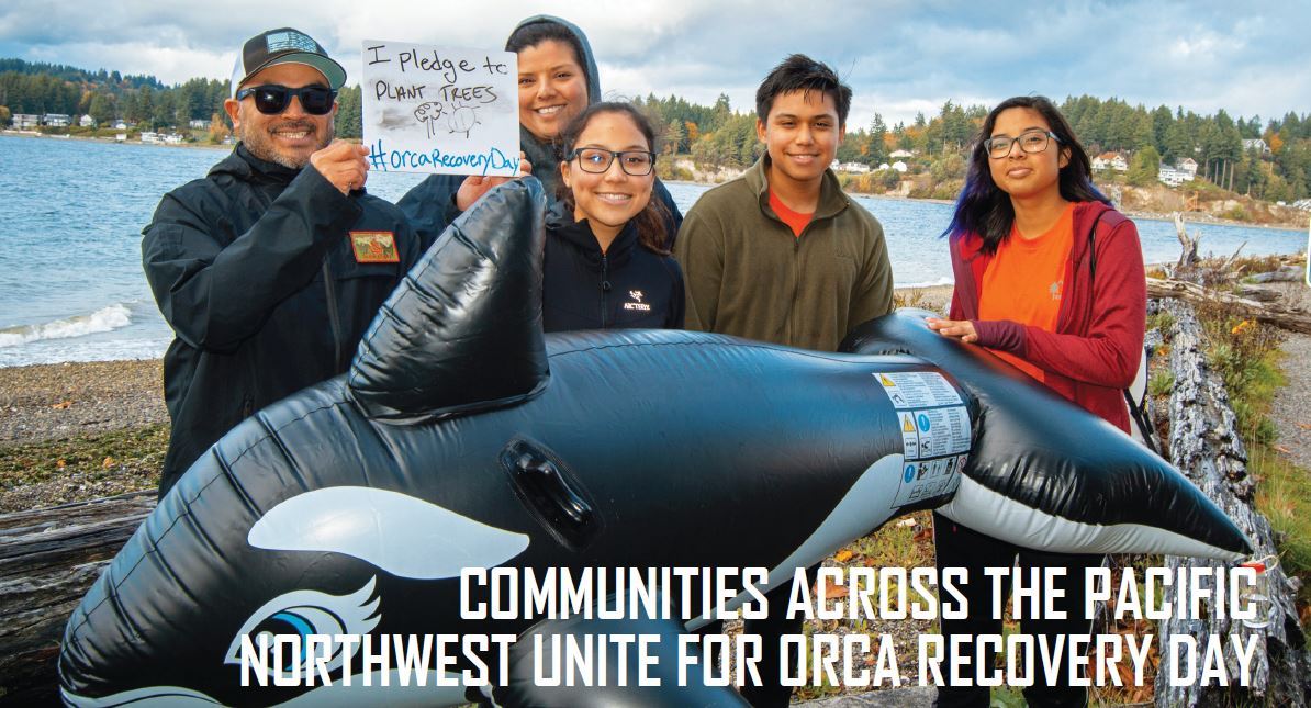 Winter Tahoma View Cover