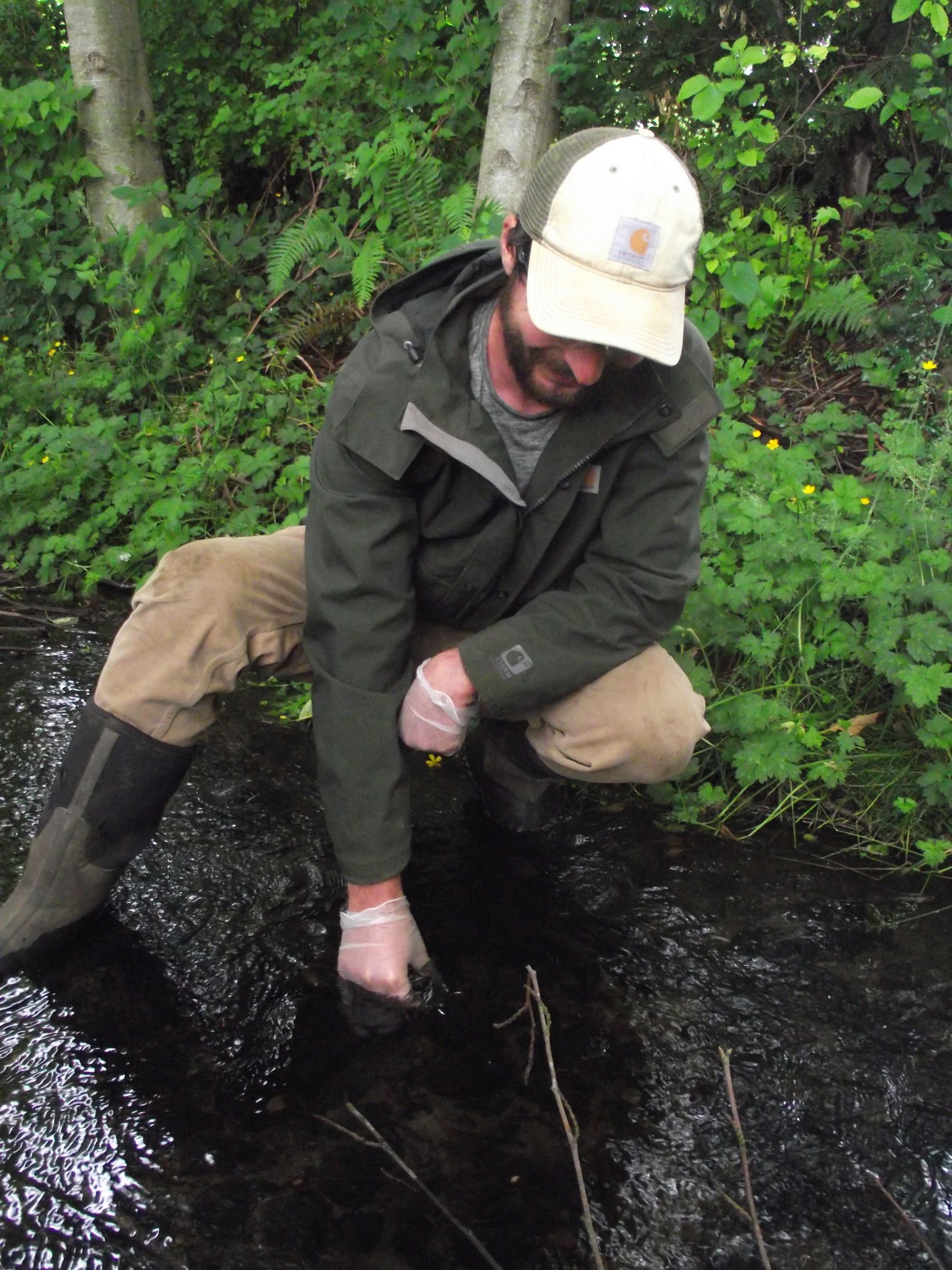 Stream Team picture Stream Team picture