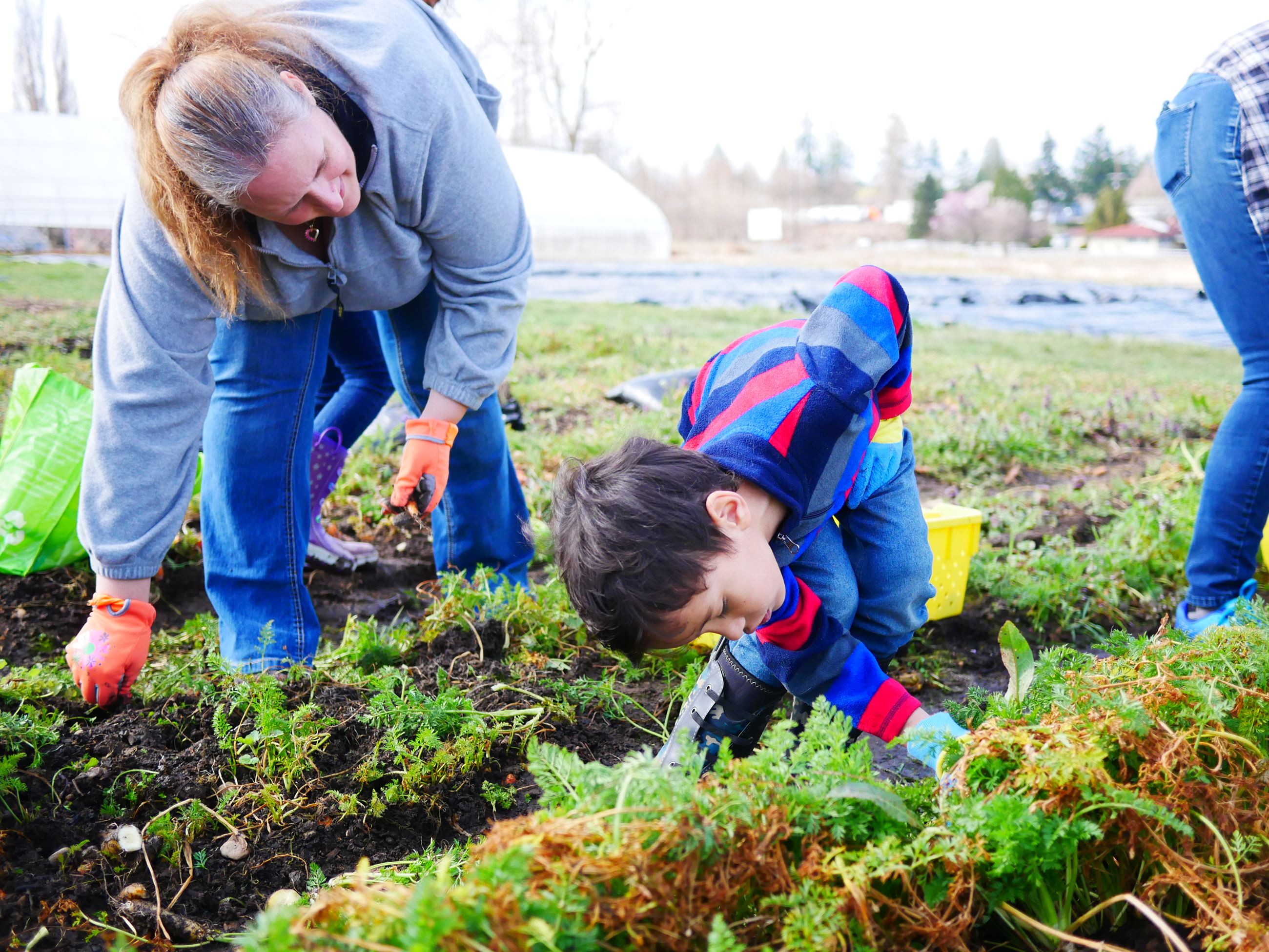 Adult helping a child garden