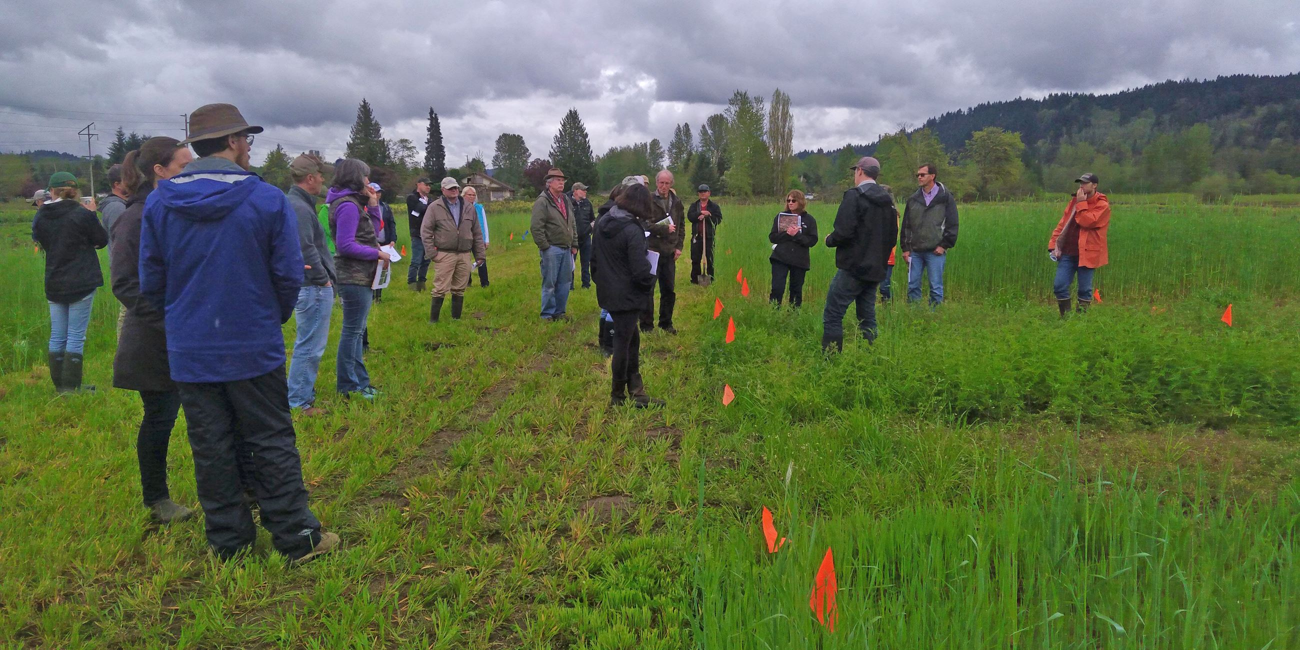 Cover crop trial workshop