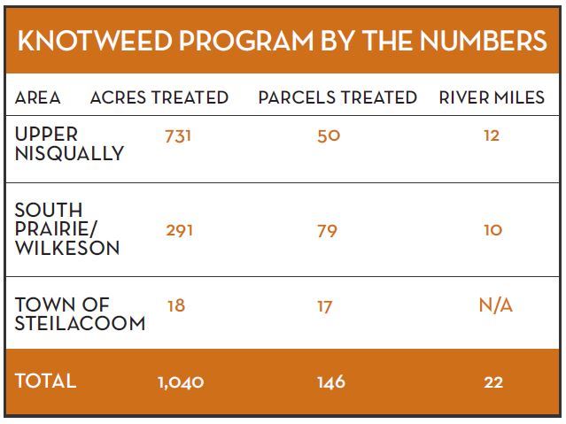 Knotweed by the numbers