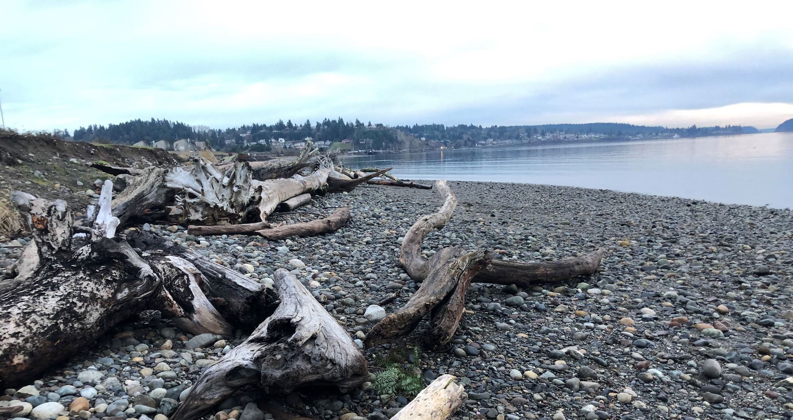 Shorelines_Chambers Bay Park_Photo by Mary Krauszer