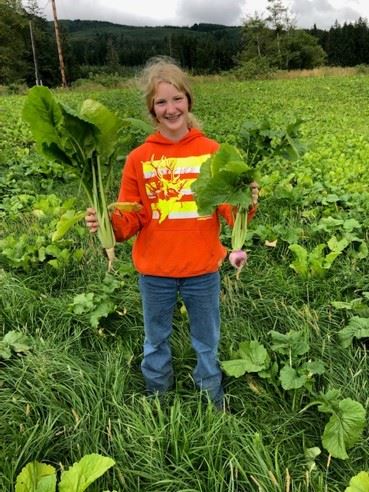 Come learn how to grow field turnips like these for fodder on your farm