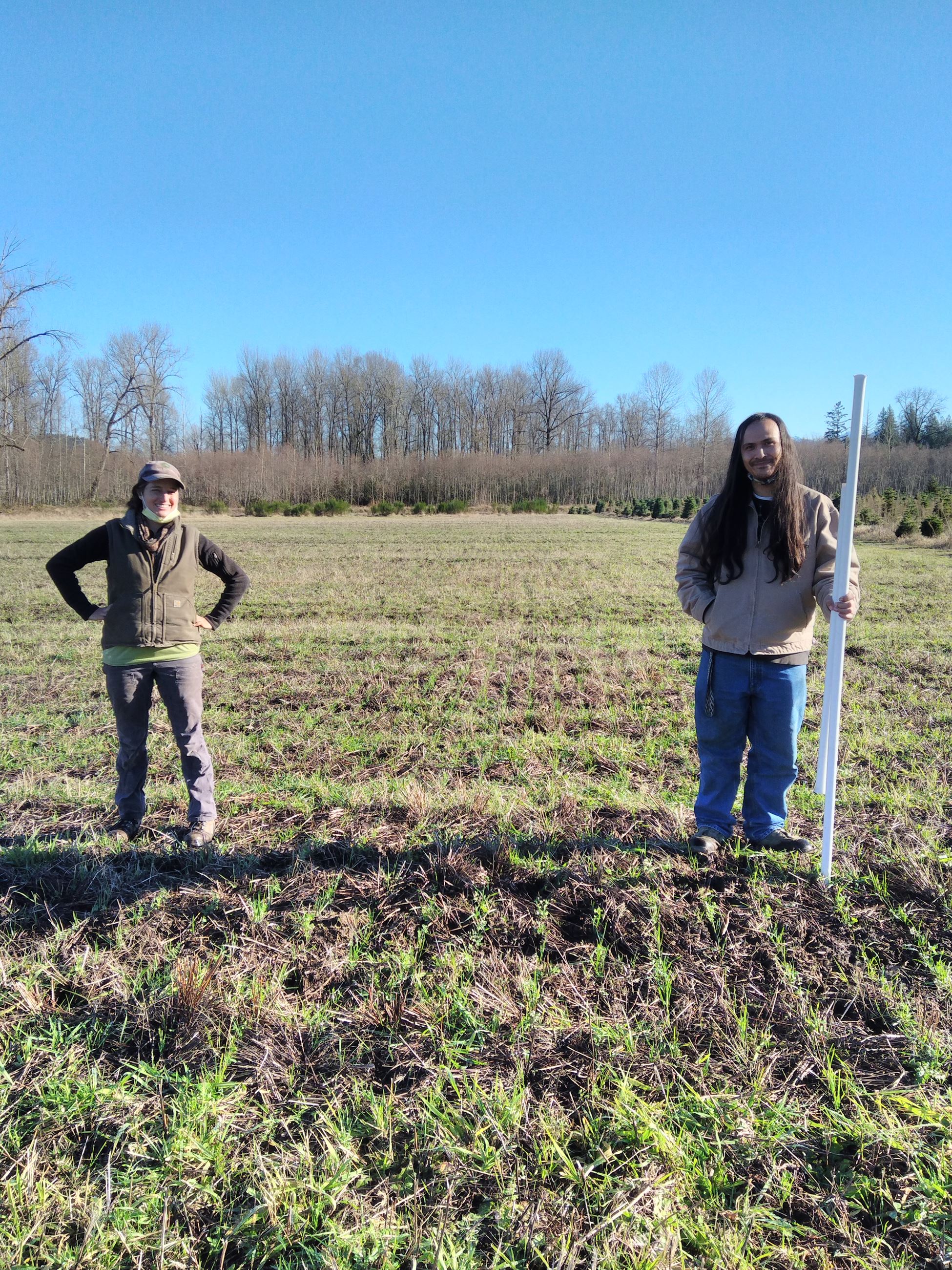 Veterans Farm - cost share cover crop seeded with no-till drill