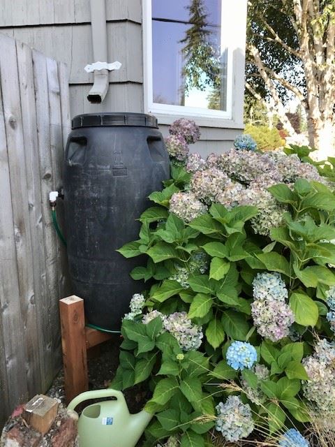 Rain Barrel Rain Barrel