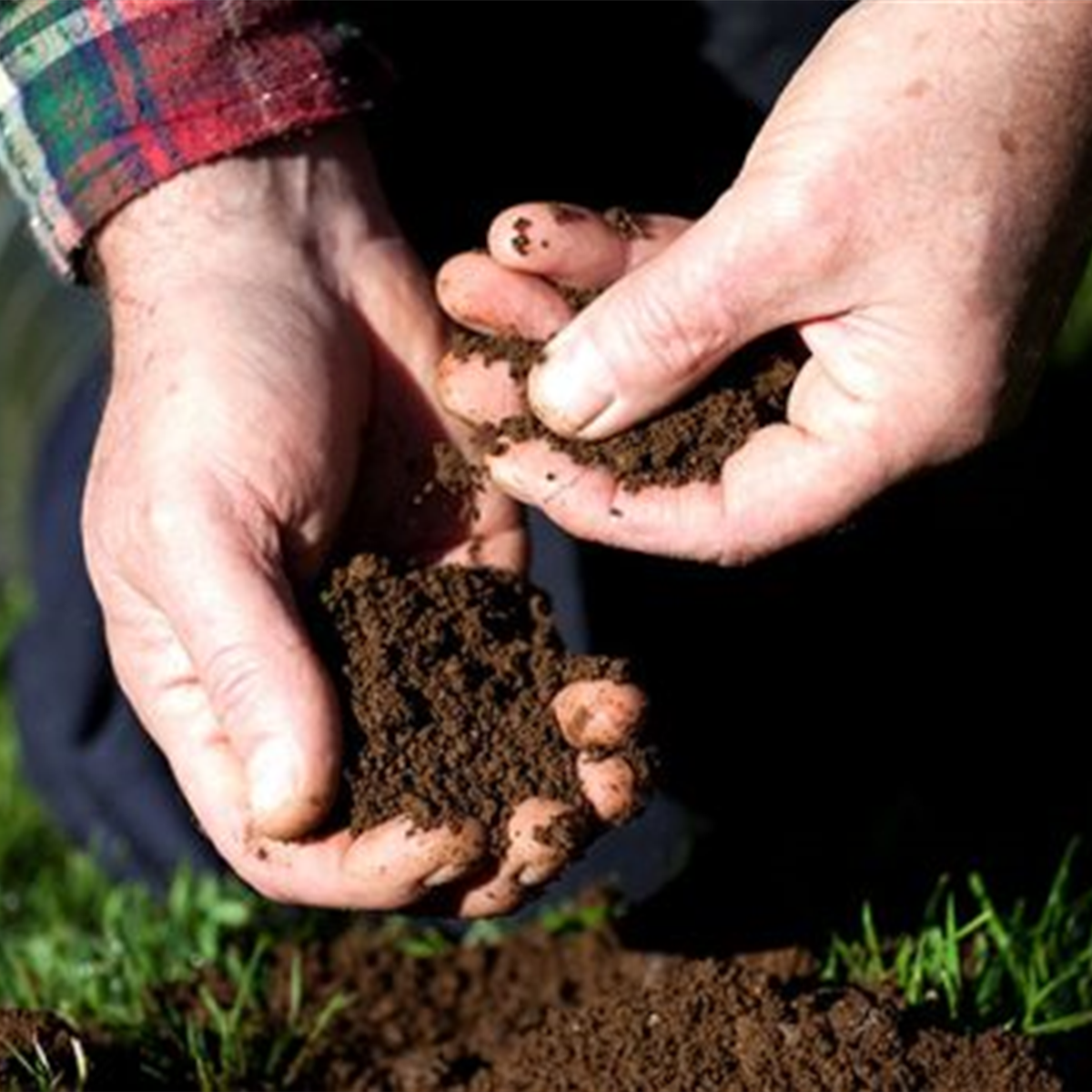 Two hands holding dark brown soil. 