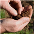 Soil Sampling and Analysis