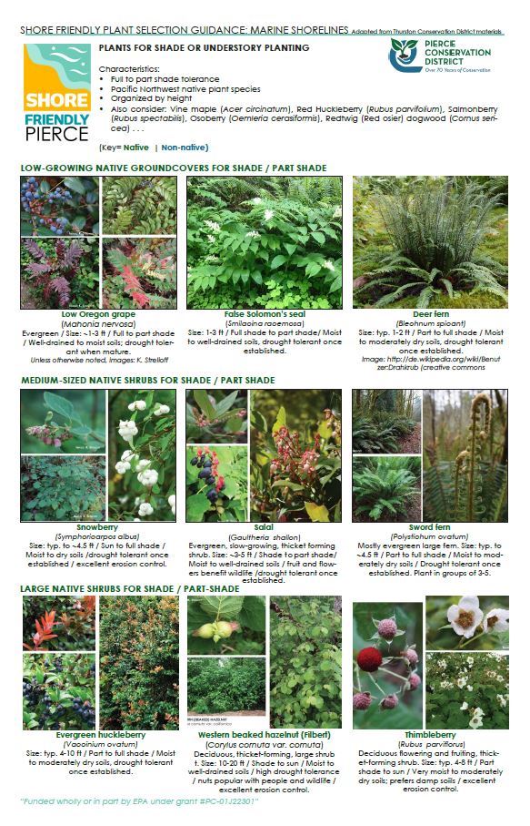 Plants for Shade or Understory Planting