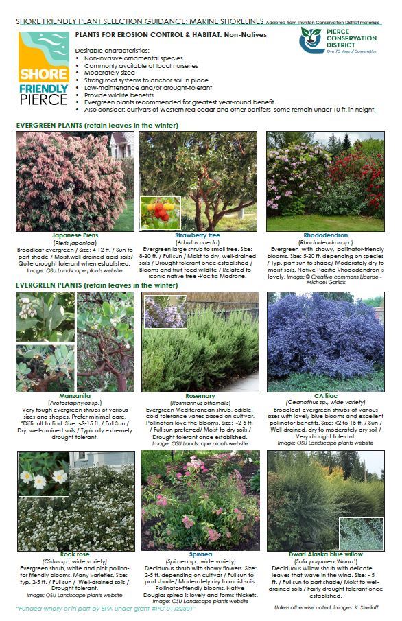 Plants for Erosion Control_Nonnatives