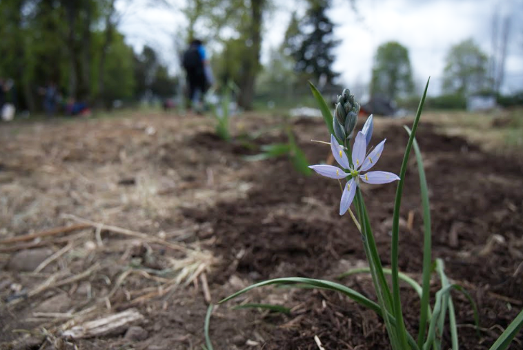 GrandviewEarthDay3 GrandviewEarthDay3