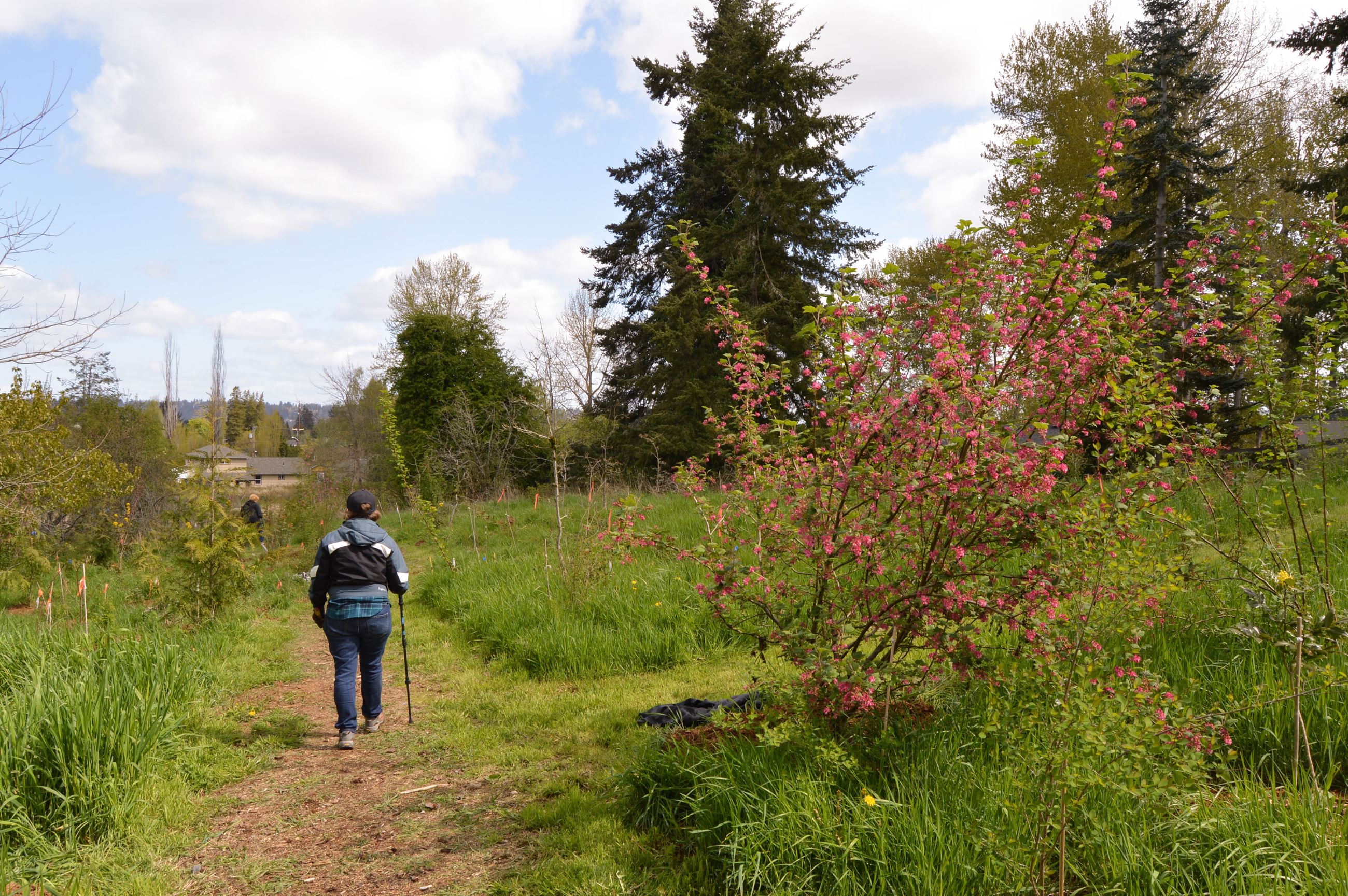 Pierce County Trails Day