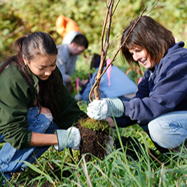 StreamsidePlanting