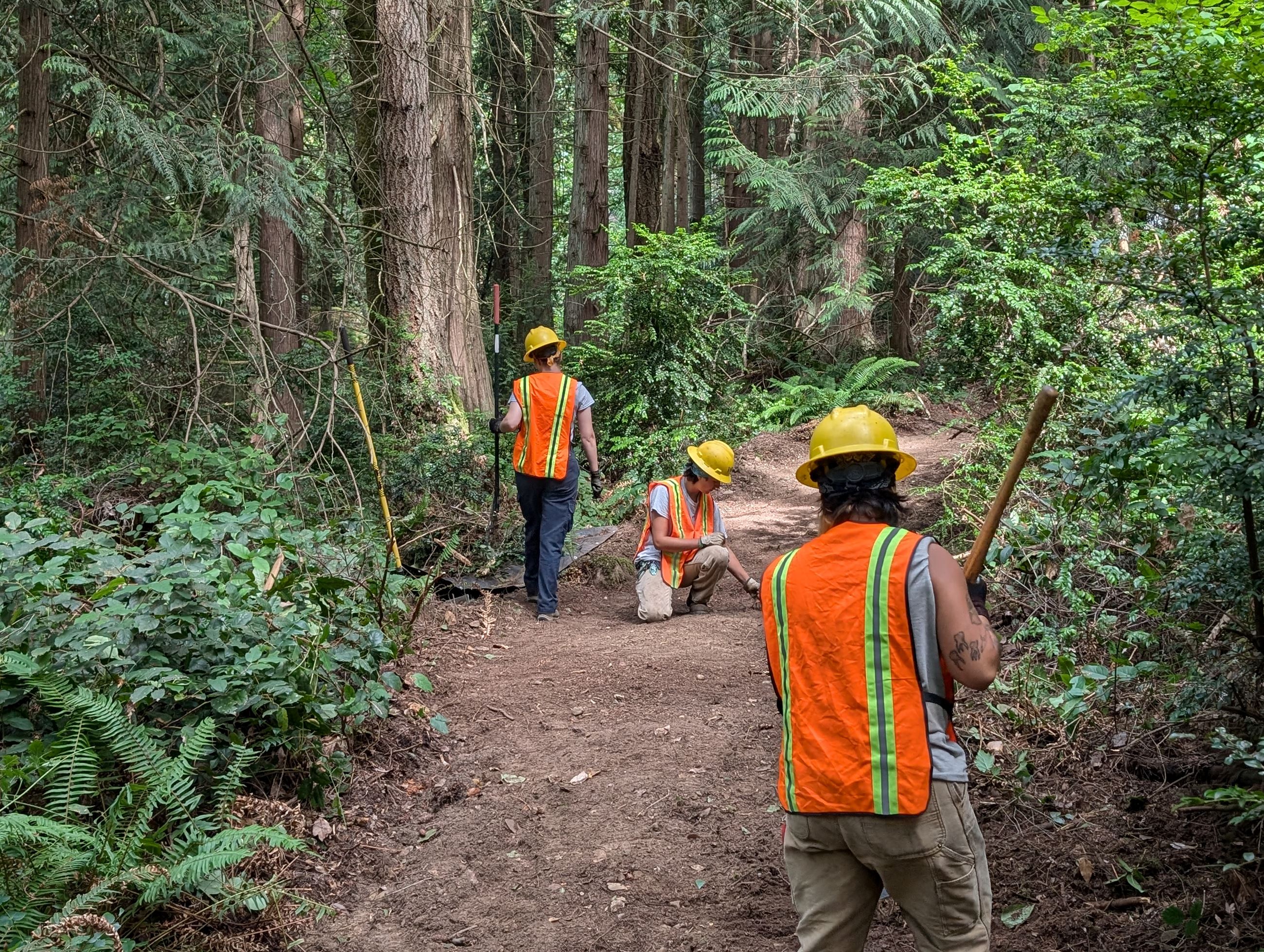 PXL_20240819_210111840.MP