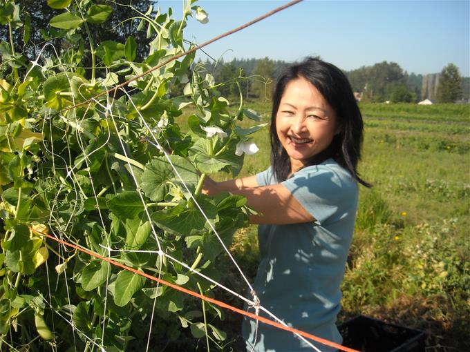 Arlene picking peas