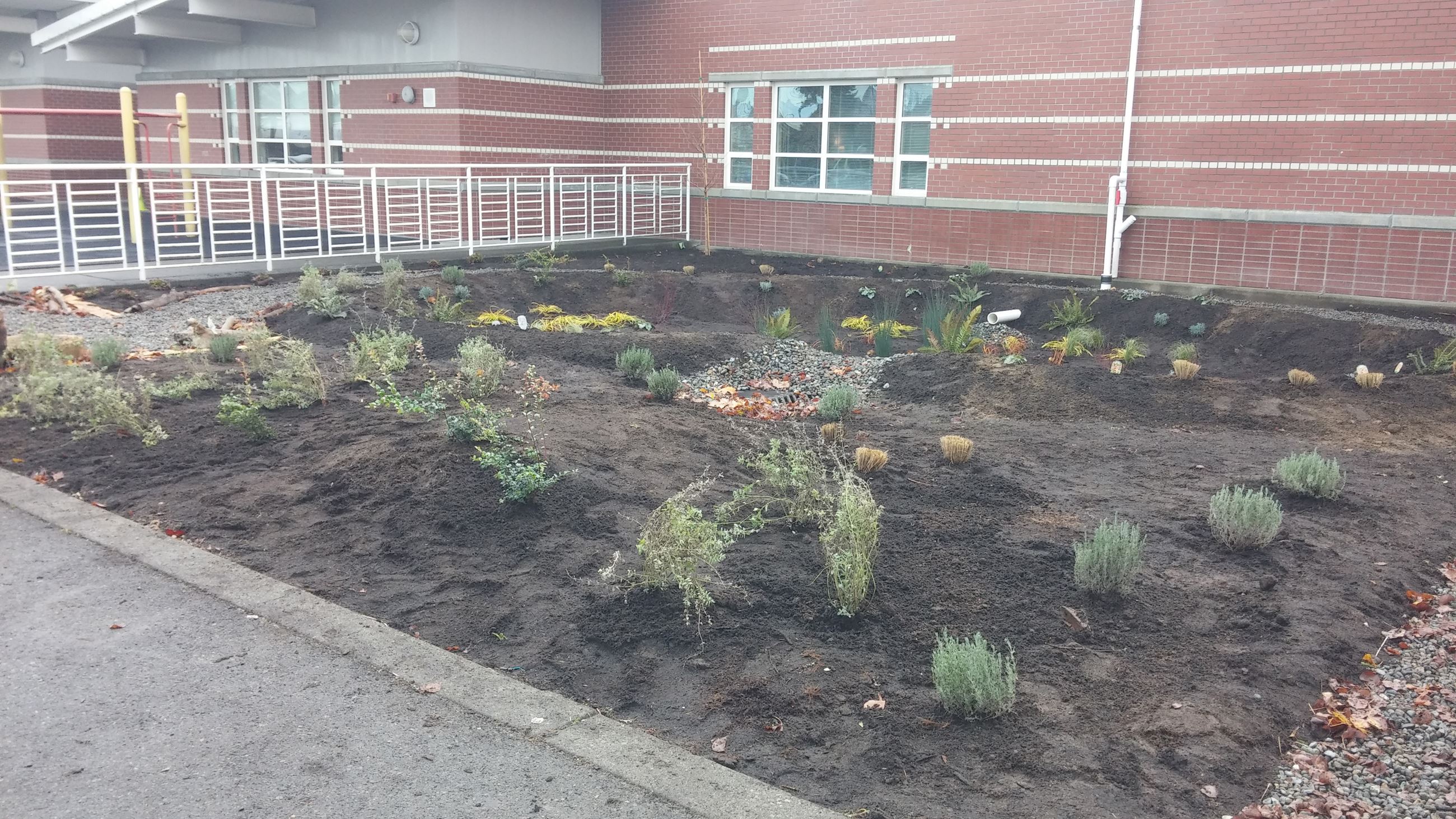 Sherman Elementary Rain Garden Sherman Elementary Rain Garden