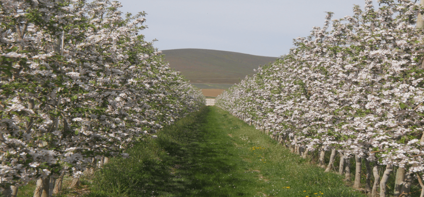 Bee Info Series 1 Bee Info Series 1