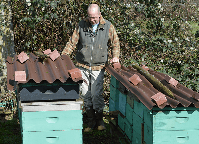 Bee Info Series 6 Bee Info Series 6