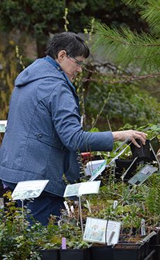 Plant Sale Sidebar (web)