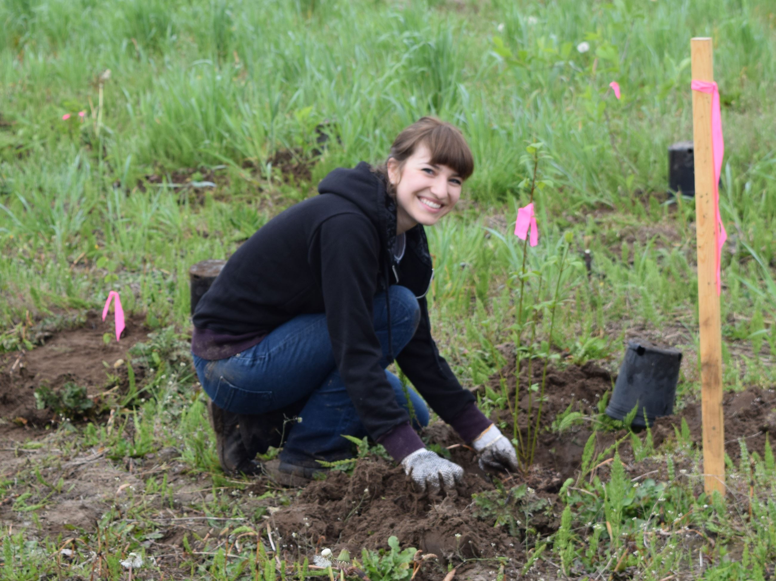 Reise Planting (pg 7) Reise Planting (pg 7)