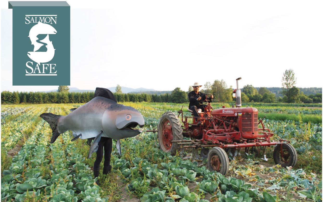 Salmon Safe1