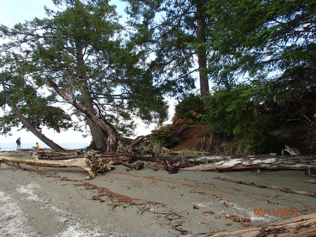 Purchase waterfront with care 5