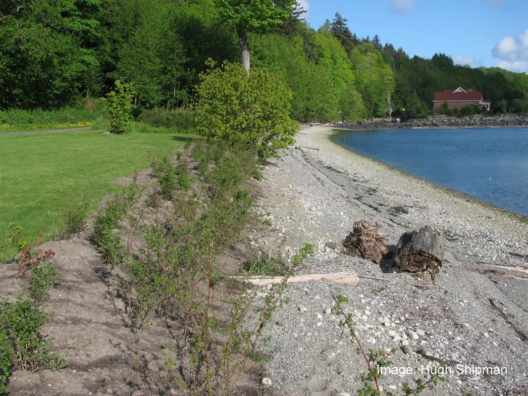 bulkhead alternatives 9