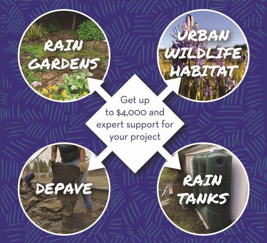 stormwater mini grant graphic