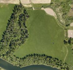 Crop field after CREP