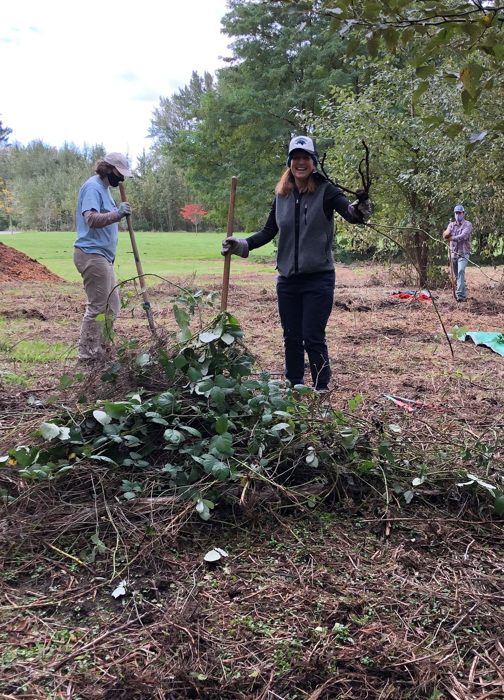 Congresswoman Schrier removes invasive weeds