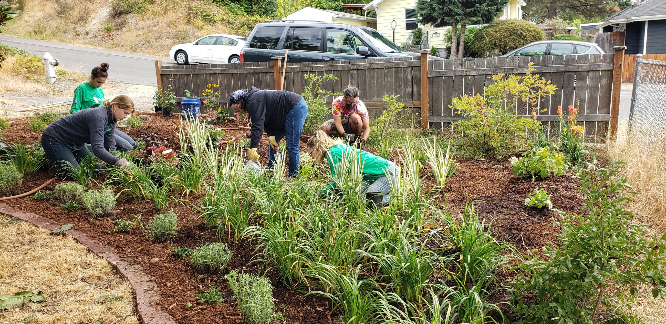 A group of people building a rain garden 