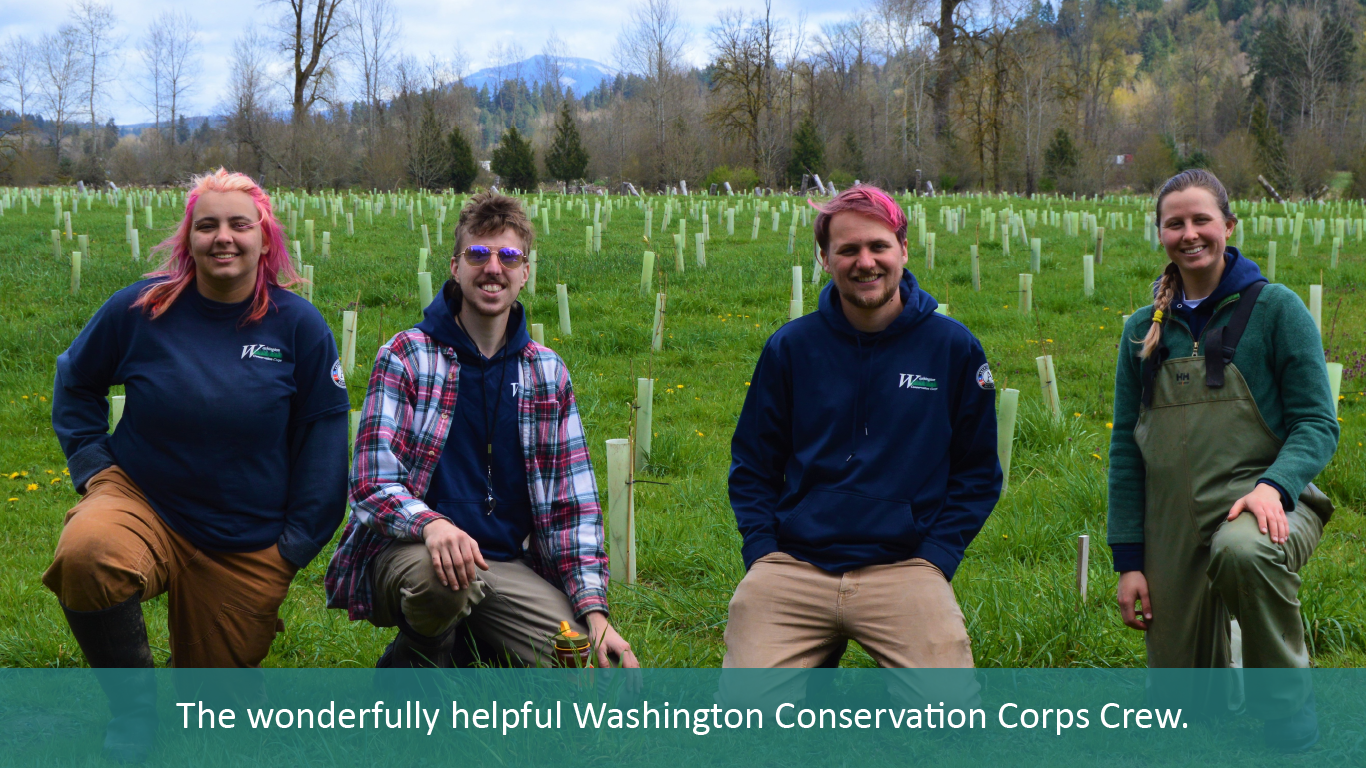 Four members of Washington Conservation Corps Crew sit in front of a field of trees they planted.