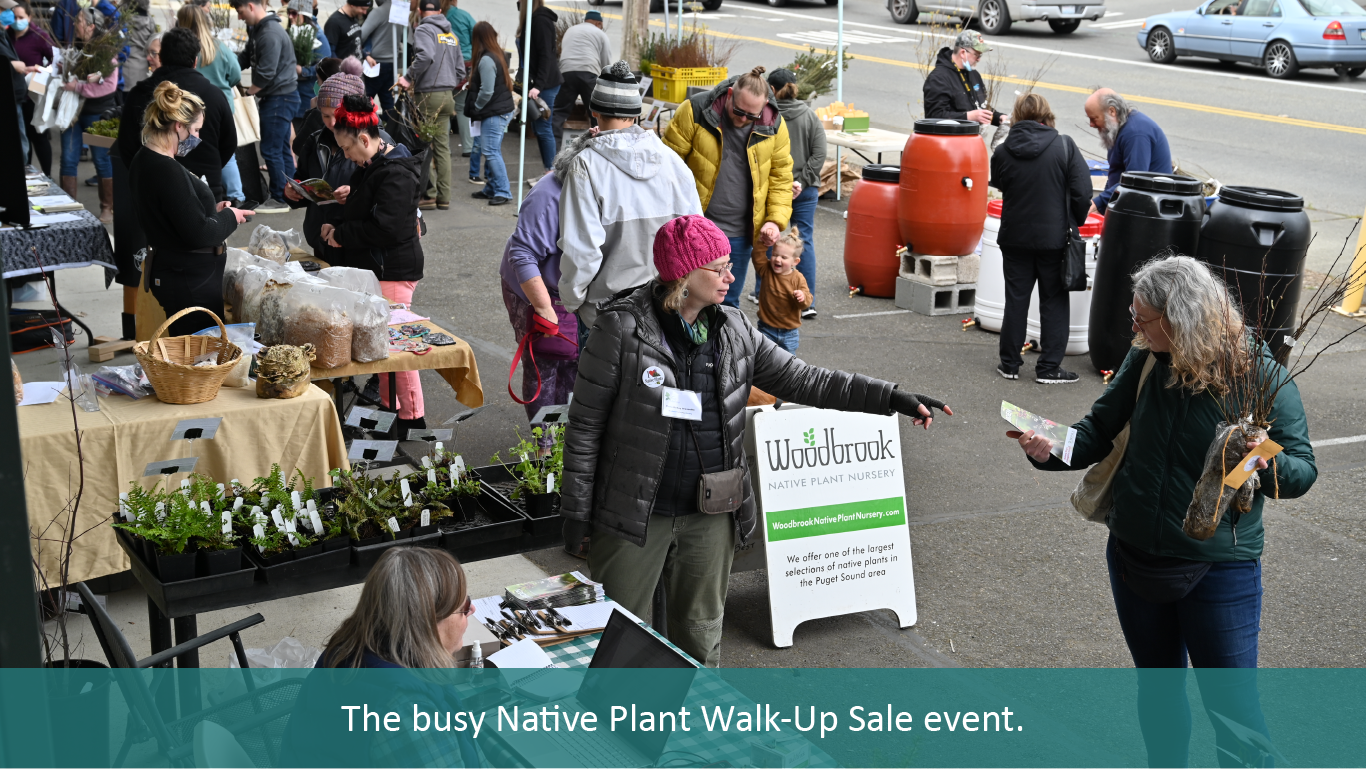 The busy Native Plant Walk-Up Sale event. 