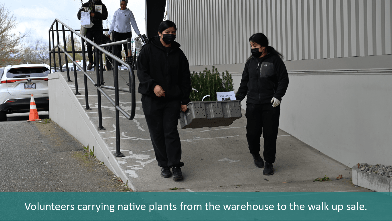 Volunteers carrying native plants from the warehouse to the walk up sale. 