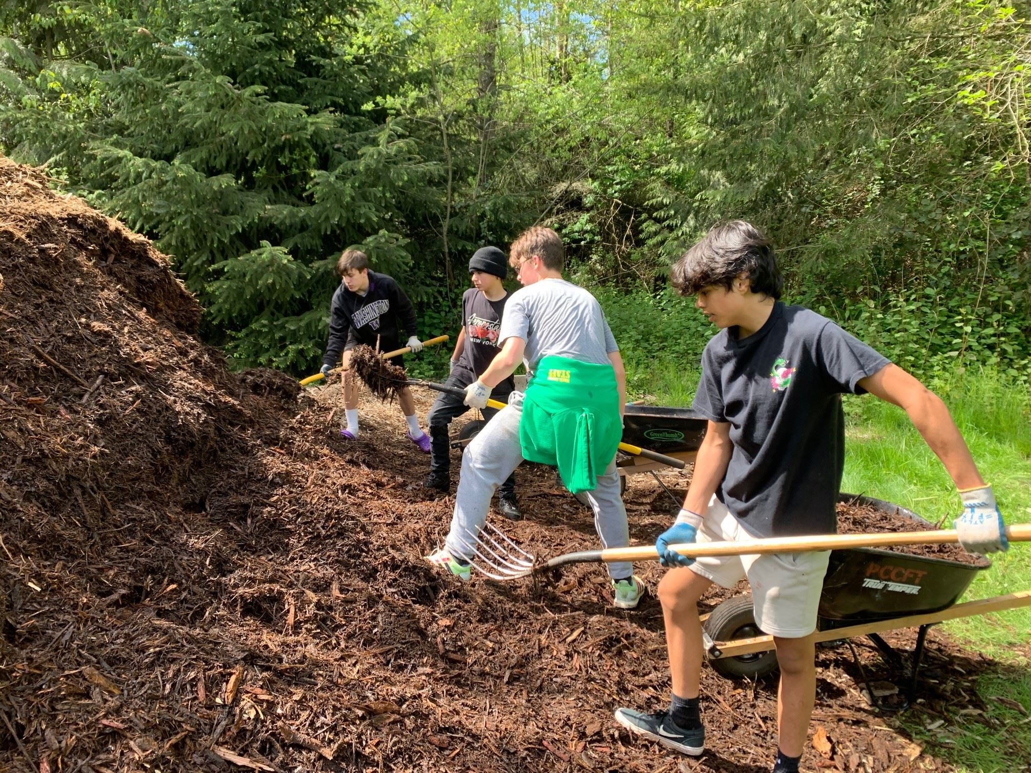 Four Glacier Middle schoolers move mulch to add to newly planted trees along the White River.