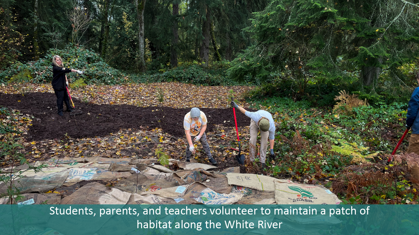 Students, parents, and teachers volunteer to maintain a patch of habitat along the White River.