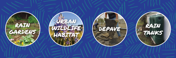 4 separate pictures of a Raingarden, Urban Habitat Project, Depave Project, and a Rain Tank