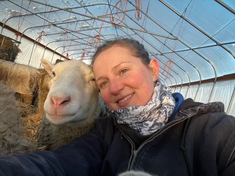 Sarah Lemon with Dahli, one of Carnation Farms Finn sheep.  