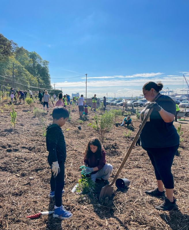 Puyallup Tribal Councilmember, Anna Bean, working with her children to plant native pollinators.