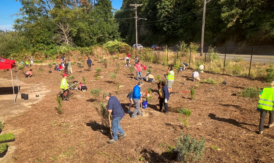 Over 60 volunteers planting over 500 native trees, shrubs, and flowers at the Canoe Landing