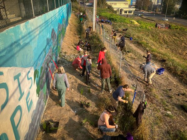 Orca Recovery Day volunteers plant native and pollinator plants at the Oasis of Hope rain garden
