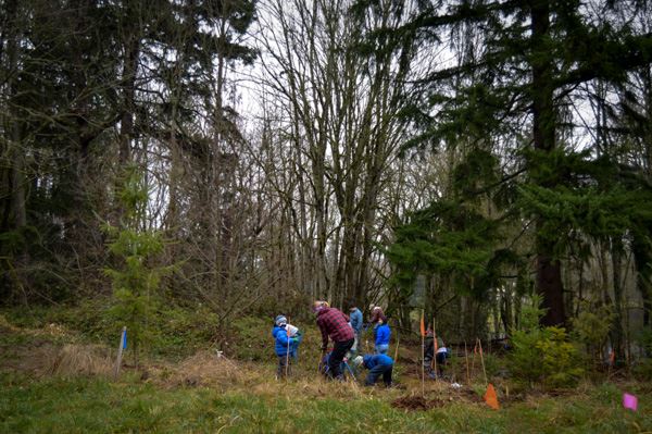 Volunteers working to restore the habitat at Deadman’s Pond. 